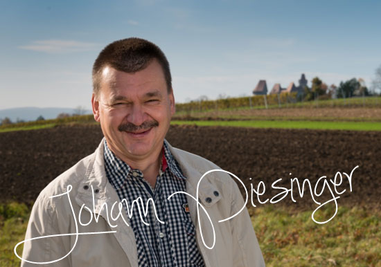 Johann Piesinger